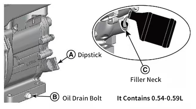 Reference Picture