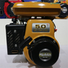  Robin Gasoline Engine EY20