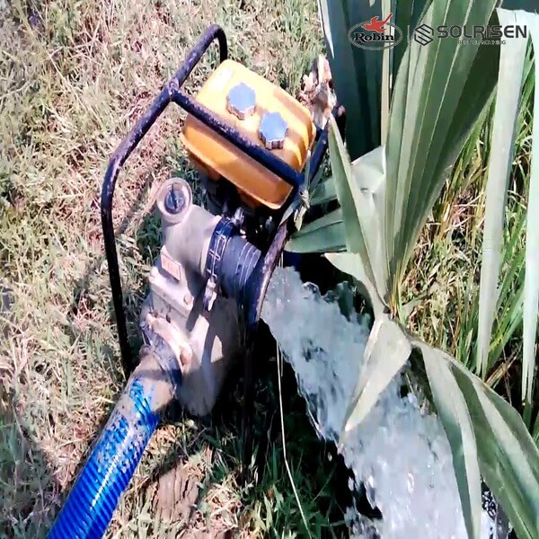 robin-trash-water-pump